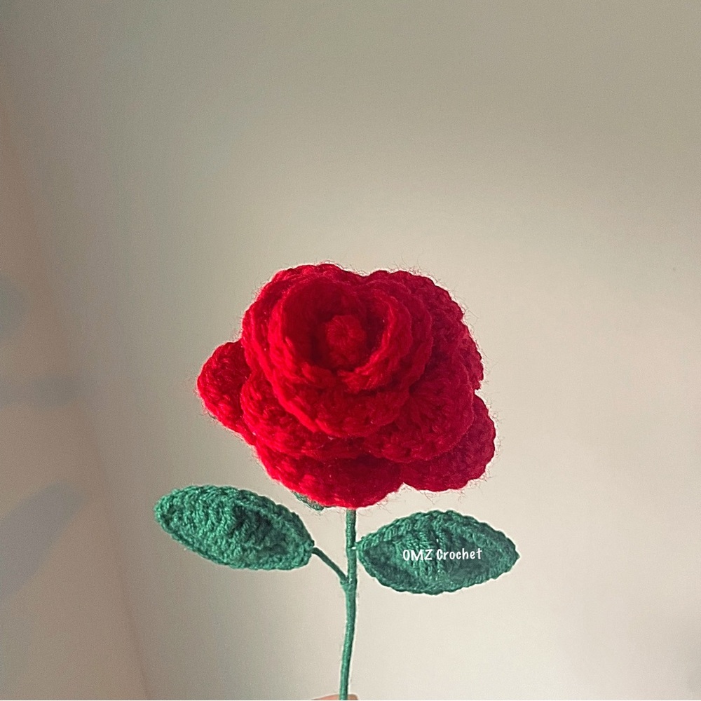 Rose flower